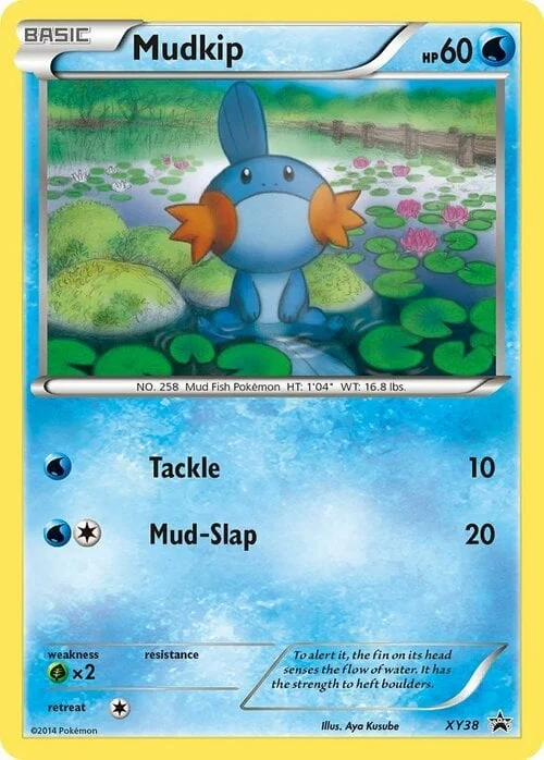 Mudkip — XY Black Star Promos