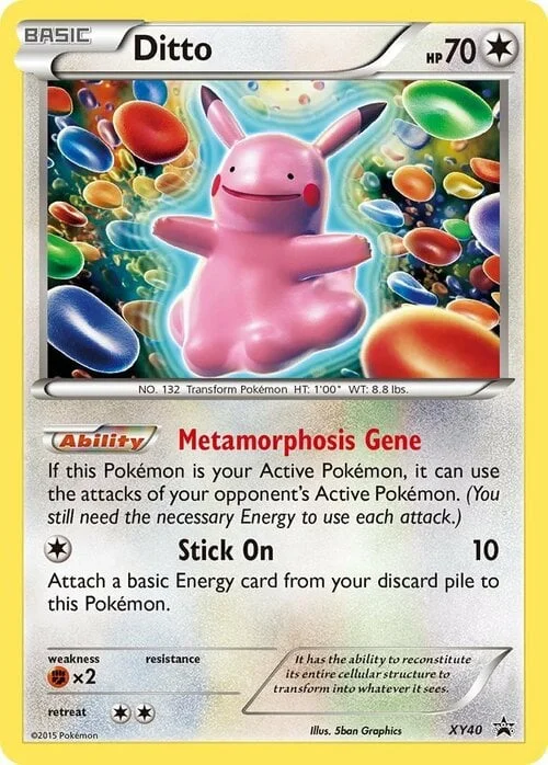 Ditto — XY Black Star Promos