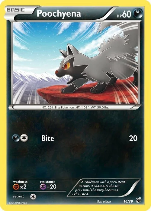 Poochyena — XY Kalos Starter Set