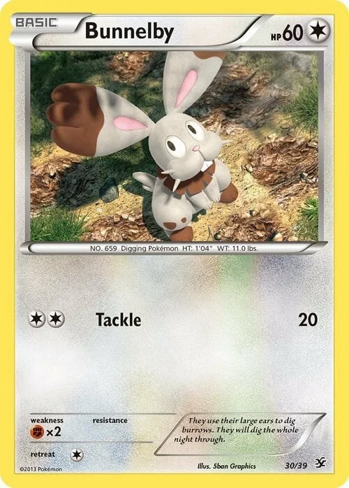 Bunnelby — XY Kalos Starter Set