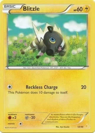 Blitzle — XY Trainer Kit: Pikachu Libre & Suicune (Pikachu Libre)
