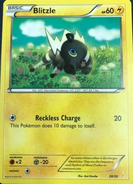 Blitzle — XY Trainer Kit: Pikachu Libre & Suicune (Pikachu Libre)