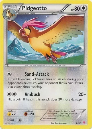 Pidgeotto — XY Trainer Kit: Wigglytuff