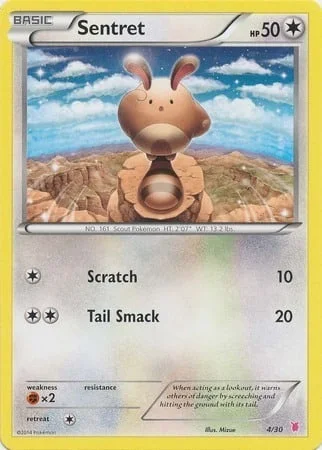 Sentret — XY Trainer Kit: Wigglytuff