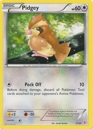Pidgey — XY Trainer Kit: Wigglytuff