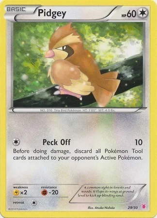 Pidgey — XY Trainer Kit: Wigglytuff