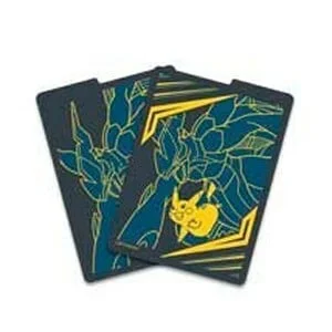 Team Up: 1 Pikachu & Zekrom Divider — Team Up