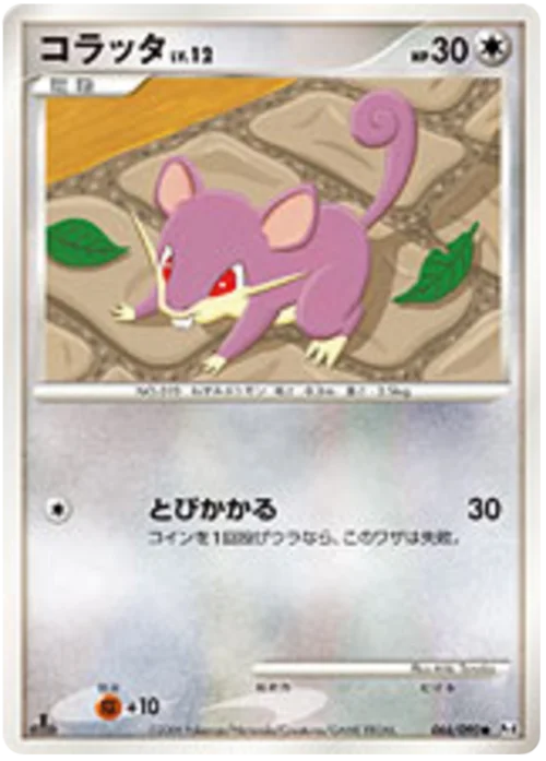 Rattata LV.12 — Advent of Arceus