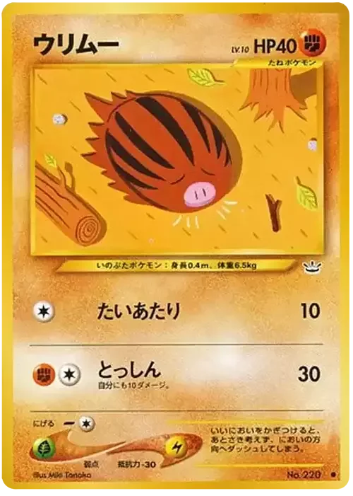 Swinub Lv.10 — Awakening Legends