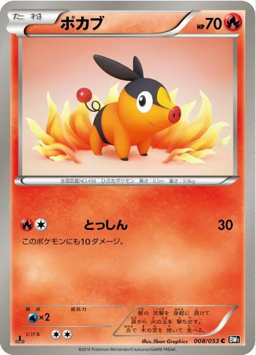 Tepig — Black Collection