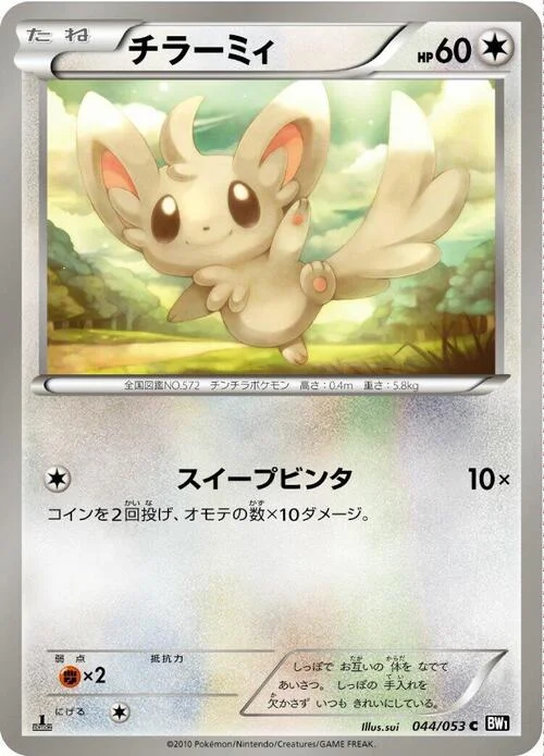 Minccino — Black Collection