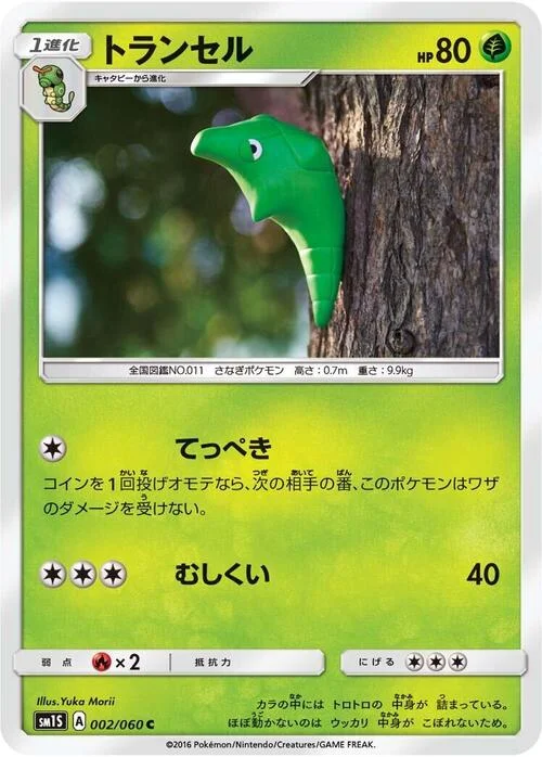 Metapod — Collection Sun