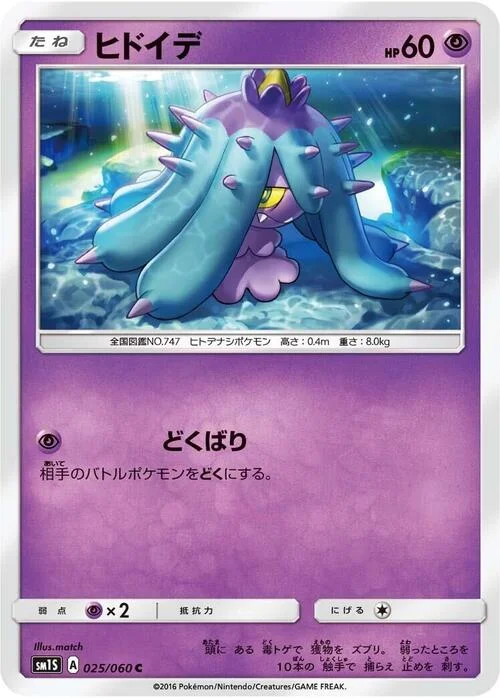 Mareanie — Collection Sun