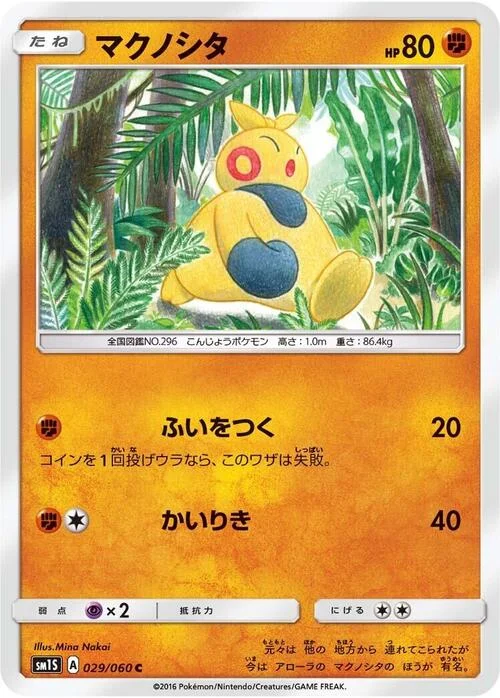 Makuhita — Collection Sun