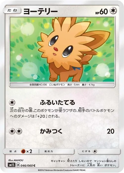 Lillipup — Collection Sun