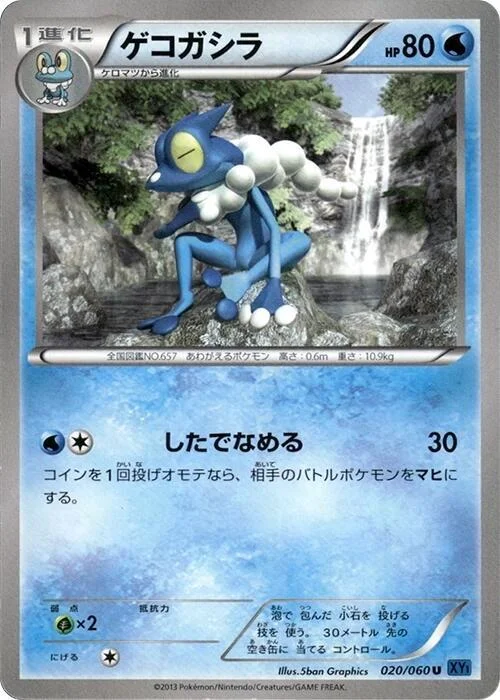 Frogadier — Collection X