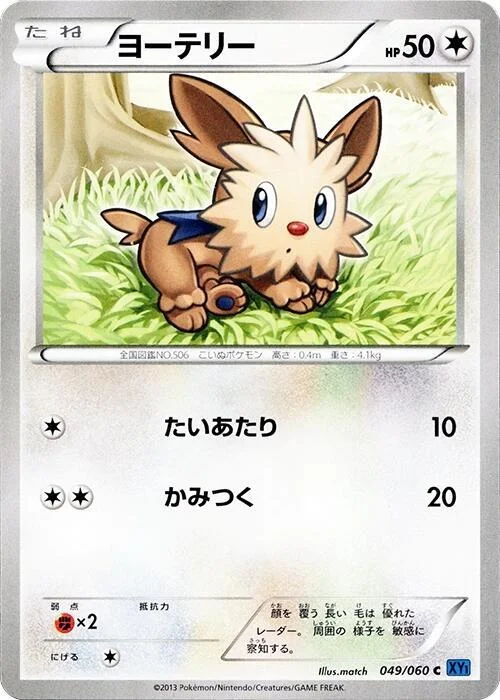 Lillipup — Collection X