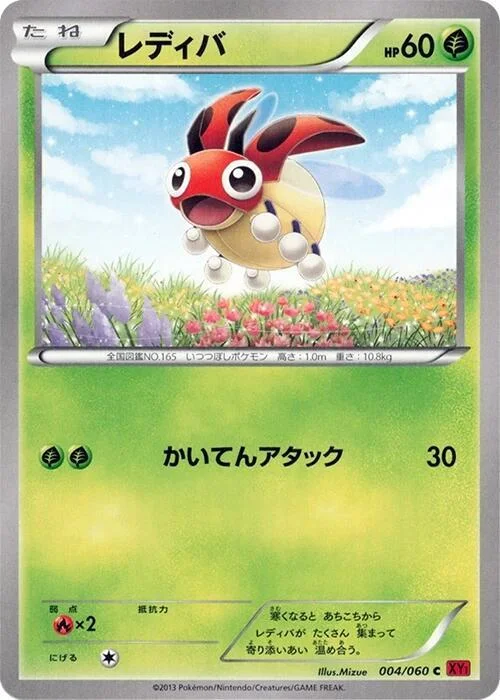 Ledyba — Collection Y