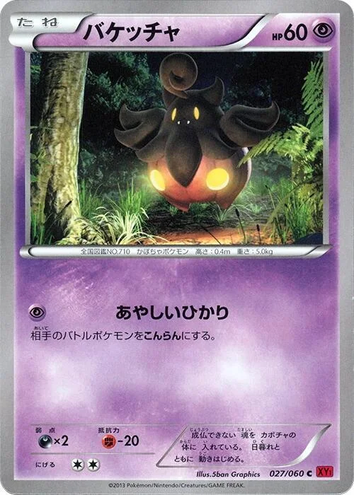 Pumpkaboo — Collection Y
