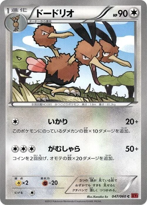 Dodrio — Collection Y