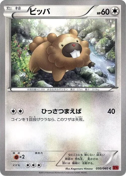 Bidoof — Collection Y