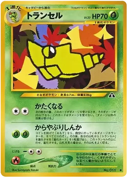 Metapod — Crossing the Ruins...