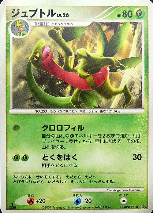 Grovyle Lv.26 — Dawn Dash