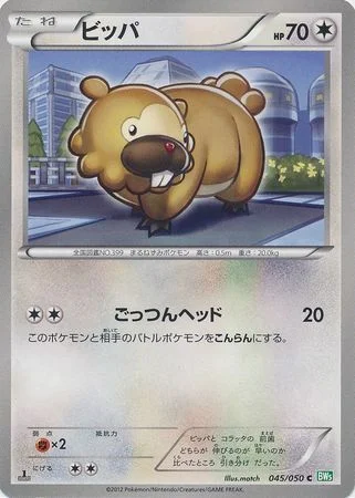 Bidoof — Dragon Blast