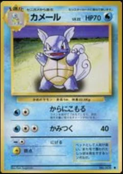 Wartortle — Expansion Pack & Starter Pack
