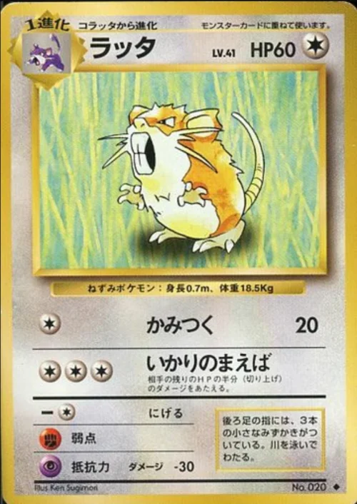 Raticate — Expansion Pack & Starter Pack