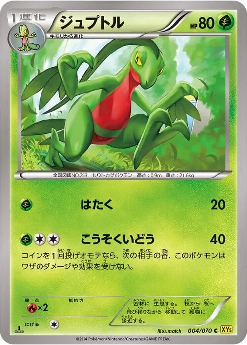Grovyle — Gaia Volcano