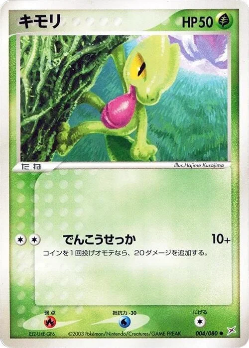 Treecko — Magma VS Aqua: Two Ambitions