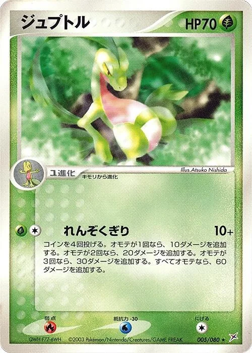 Grovyle — Magma VS Aqua: Two Ambitions