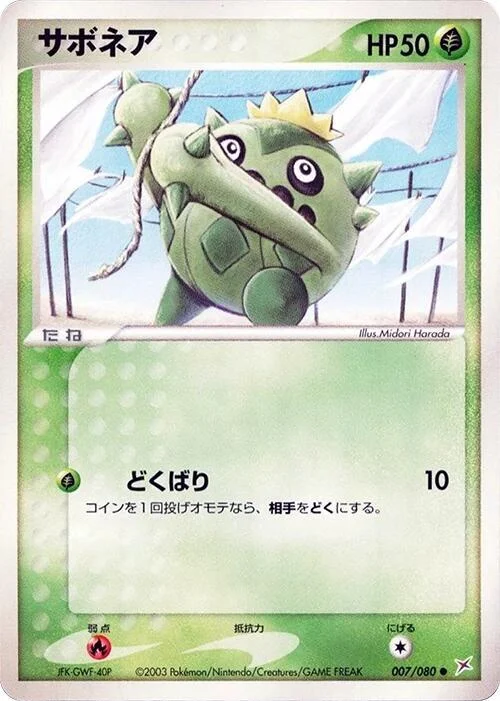 Cacnea — Magma VS Aqua: Two Ambitions