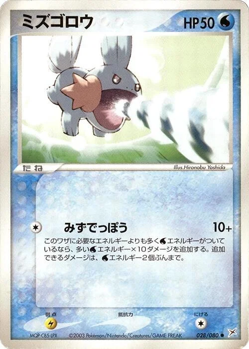 Mudkip — Magma VS Aqua: Two Ambitions