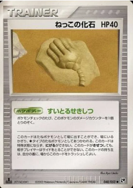 Root Fossil — Miracle of the Desert