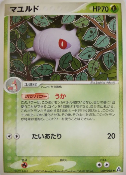 Cascoon — Mirage Forest