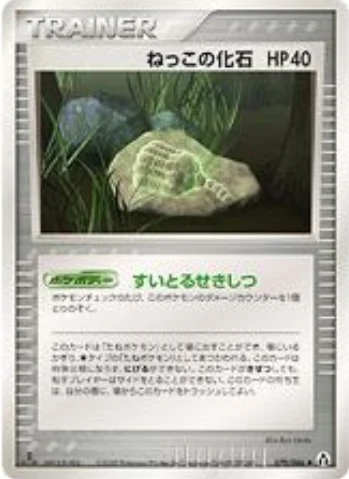 Root Fossil — Mirage Forest