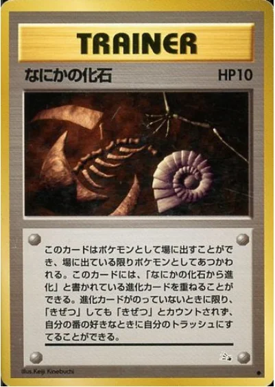 Mysterious Fossil — Mystery of the Fossils