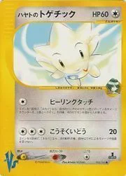 Falkner's Togetic — Pokémon VS