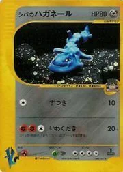Bruno's Steelix — Pokémon VS