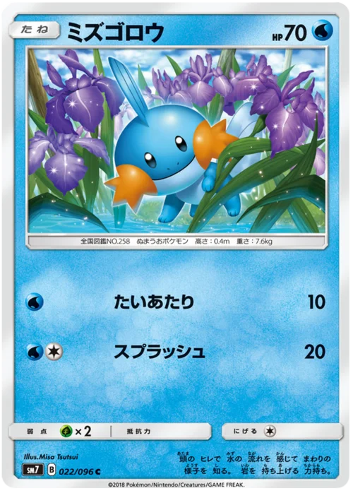 Mudkip — Sky-Splitting Charisma