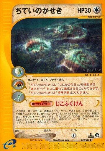 Buried Fossil — Split Earth