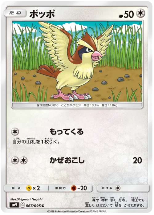 Pidgey — Tag Bolt