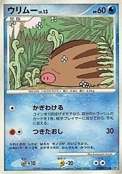 Swinub Lv.13 — Temple of Anger