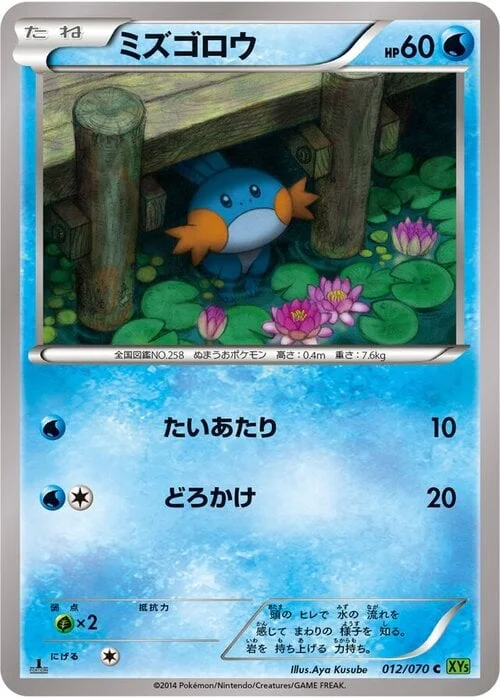 Mudkip — Tidal Storm
