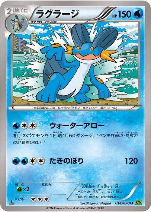 Swampert — Tidal Storm