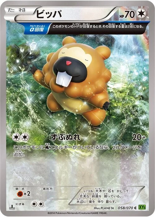 Bidoof — Tidal Storm