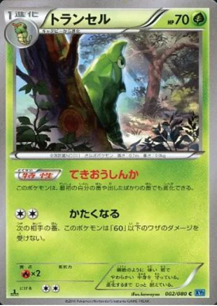 Metapod — Wild Blaze