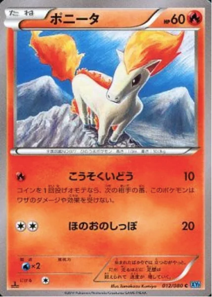 Ponyta — Wild Blaze